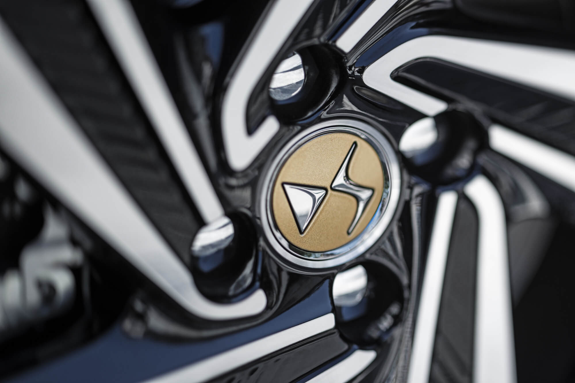 DS EDITION 1955」を限定発売 ブランド誕生60周年を記念した限定