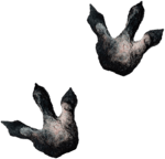 足跡