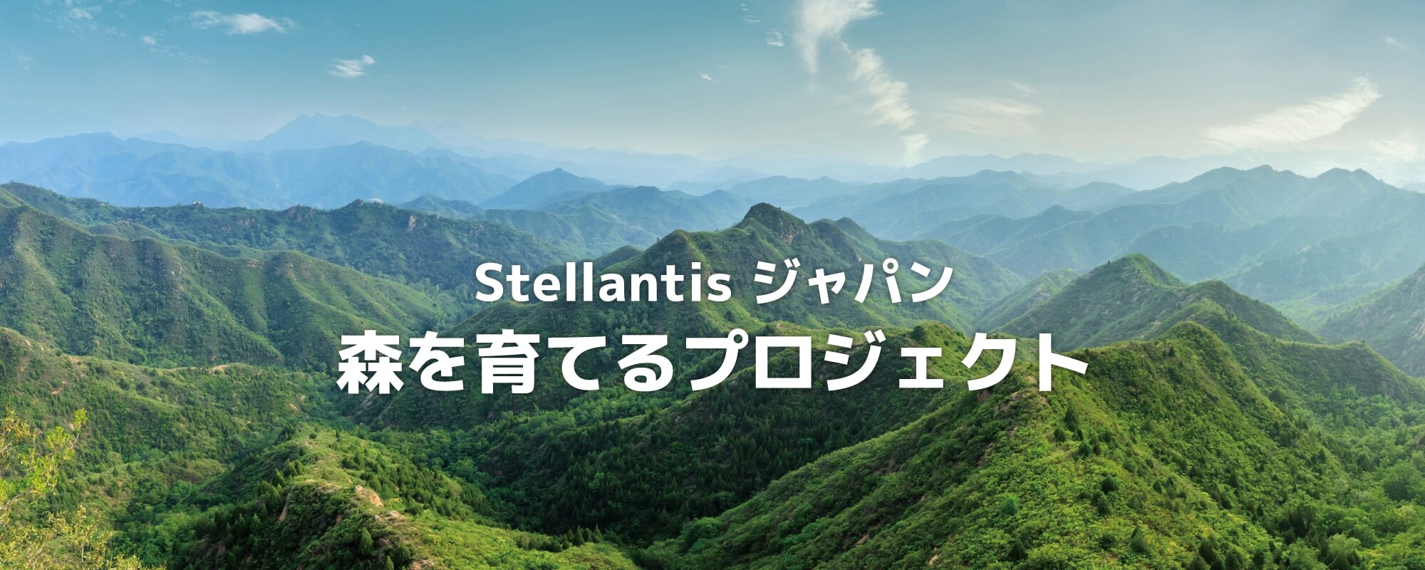 グリーンソーシャルワークとは何か:環境正義と共生社会実現